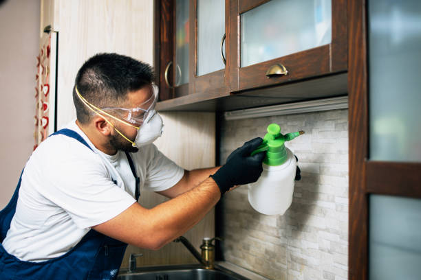 Best Pest Prevention Services  in Point Roberts, WA