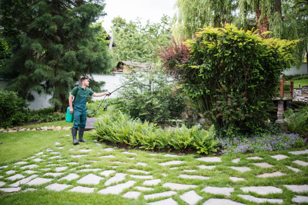 Best Exterminator Services  in Point Roberts, WA