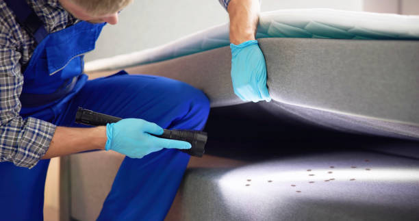 Best Bed Bug Extermination  in Point Roberts, WA