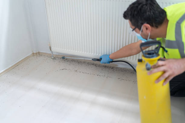Best Cockroach Control Services  in Point Roberts, WA